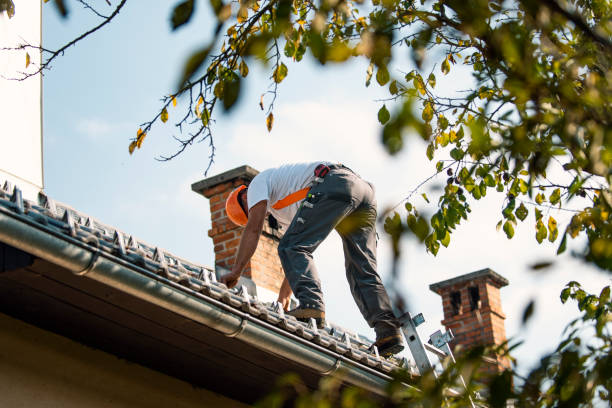 Best Flat Roof Repair Services  in North Auburn, CA