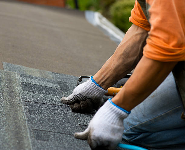 Best Roof Maintenance Services  in North Auburn, CA