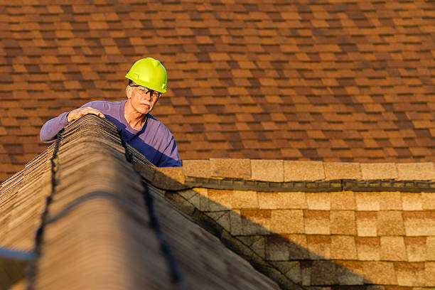 Best Roof Gutter Cleaning  in North Auburn, CA